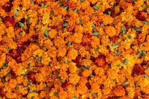 Bunch of marigold flowers, texture and background of marigold. photo