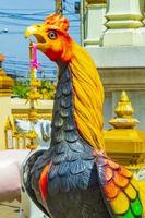 Chicken Wat Don Mueang Phra Arramluang buddhist temple Bangkok Thailand. photo