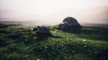 prado alpino con rocas y hierba verde foto