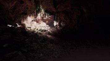 la vista dentro de la cueva de las hadas cubierta de plantas verdes que se iluminan solas foto
