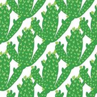 Cactus seamless pattern on white background. Cacti wallpaper. vector