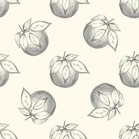 Orange fruit sketch seamless patter. Exotic tropical fruit. vector