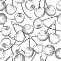 Hand draw cherries seamless pattern on a white background. Engraving style. vector