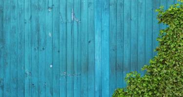 Wooden background with plants and leaves photo