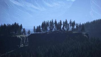 Pine tree forests at the base of mountain in sunny day of summer video