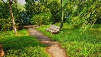 Seating area on the Valley walking trail video