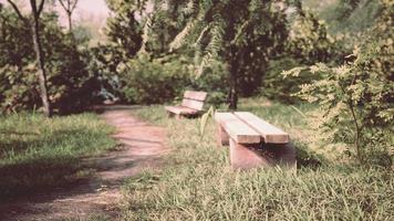 Seating area on the Valley walking trail video