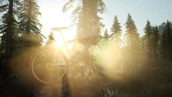 Fahrrad im Bergwald video