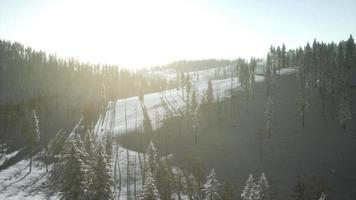 winterlandschap gloeien door zonlicht in de ochtend video