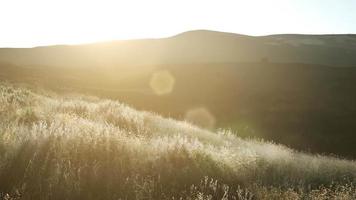 Sunset over the Valley Fields video