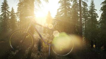 bicicleta en bosque de montaña video
