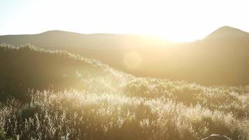 Sunset over the Valley Fields video