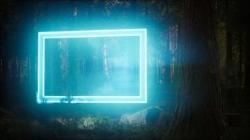 cadre rectangle lumineux au néon dans la forêt de nuit video