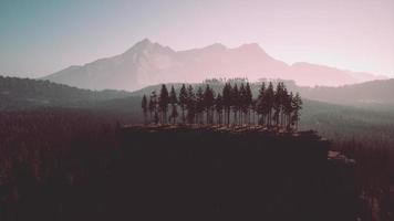 Pine tree forests at the base of mountain in sunny day of summer video