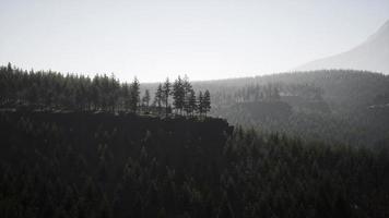 Immergrüner Tannenbaum und Berge auf einem Hintergrund bei einem Sonnenuntergang nach dem Regen video