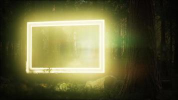 Neon leuchtender rechteckiger Rahmen im Nachtwald video