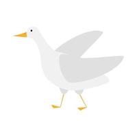 Goose bird isolated on white background. Funny cartoon character.. vector