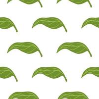 Isolated seamless pattern with green leaves tangerine ornament. Green hand drawn botany shapes. vector