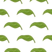 Isolated seamless pattern with green leaves tangerine ornament. Green hand drawn botany shapes. vector