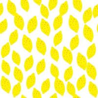 Lemon seamless pattern. Hand drawn citrus fruits. Abstract background texture. vector