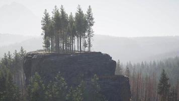 dimmigt dimmigt bergslandskap med granskog video