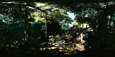 vr360 jungles tropicales profondes d'asie video