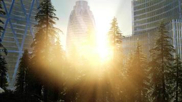 toits de la ville avec des gratte-ciel urbains au coucher du soleil video