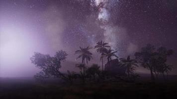 Milky Way Galaxy over Tropical Rainforest. video