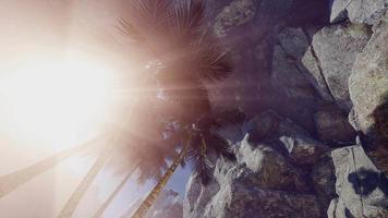 luce del sole all'interno di una misteriosa grotta video