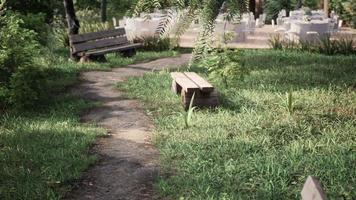 Bench in the summer park with old trees and footpath video