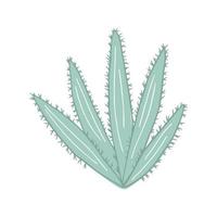 Aloe cactus in doodle style. Cute prickly green cactus. Cacti flower isolated on white background. vector