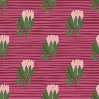 Pink protea flowers and green foliage seamless pattern in simple style. Pink striped background. Botany style. vector