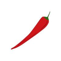 Hand drawn Red chilli isolated on white background. Doodle cayenne pepper vegetable. vector