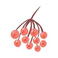 Red rowan isolated on white background. Cartoon berry hand drawn. vector