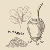 concepto de calabaza y bombilla para bebida de yerba mate aislada vector