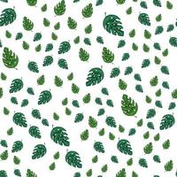 Tropical monstera leaves seamless repeat pattern . Exotic plant. vector