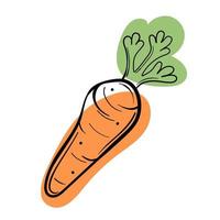 Vector carrot line and abstract spot on white isolated background.