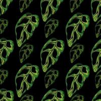 Hawaii monstera leaves seamless pattern. Botanic tropical shapes in green color on black background. vector