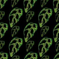 Hawaii monstera leaves seamless pattern. Botanic tropical shapes in green color on black background. vector