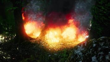 vent soufflant sur des arbres enflammés lors d'un incendie de forêt video