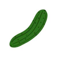 Cucumber in hand drawn style isolated on white background. vector