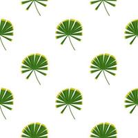 Isolated simple nature seamless pattern with doodle green palm licuala silhouettes. White background. vector