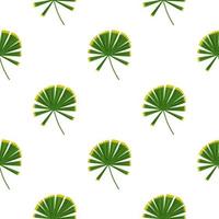 Isolated simple nature seamless pattern with doodle green palm licuala silhouettes. White background. vector