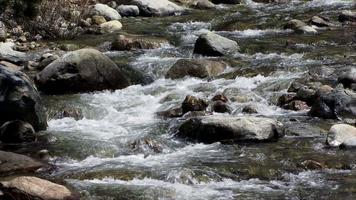 A rocky river runs through a forested valley. video