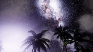 Milchstraßengalaxie über tropischem Regenwald
