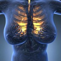 science anatomy of woman body with glow lungs photo