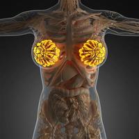 science anatomy of human body with glow mammary gland photo