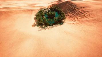 top down aerial view of oasis in desert photo