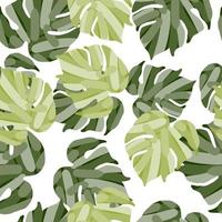 Monstera leaves tropical seamless pattern. Palm leaf endless wallpaper. vector