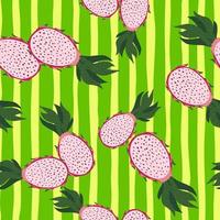 Seamless random pattern with pink dragon fruits ornament. Green bright striped background. vector